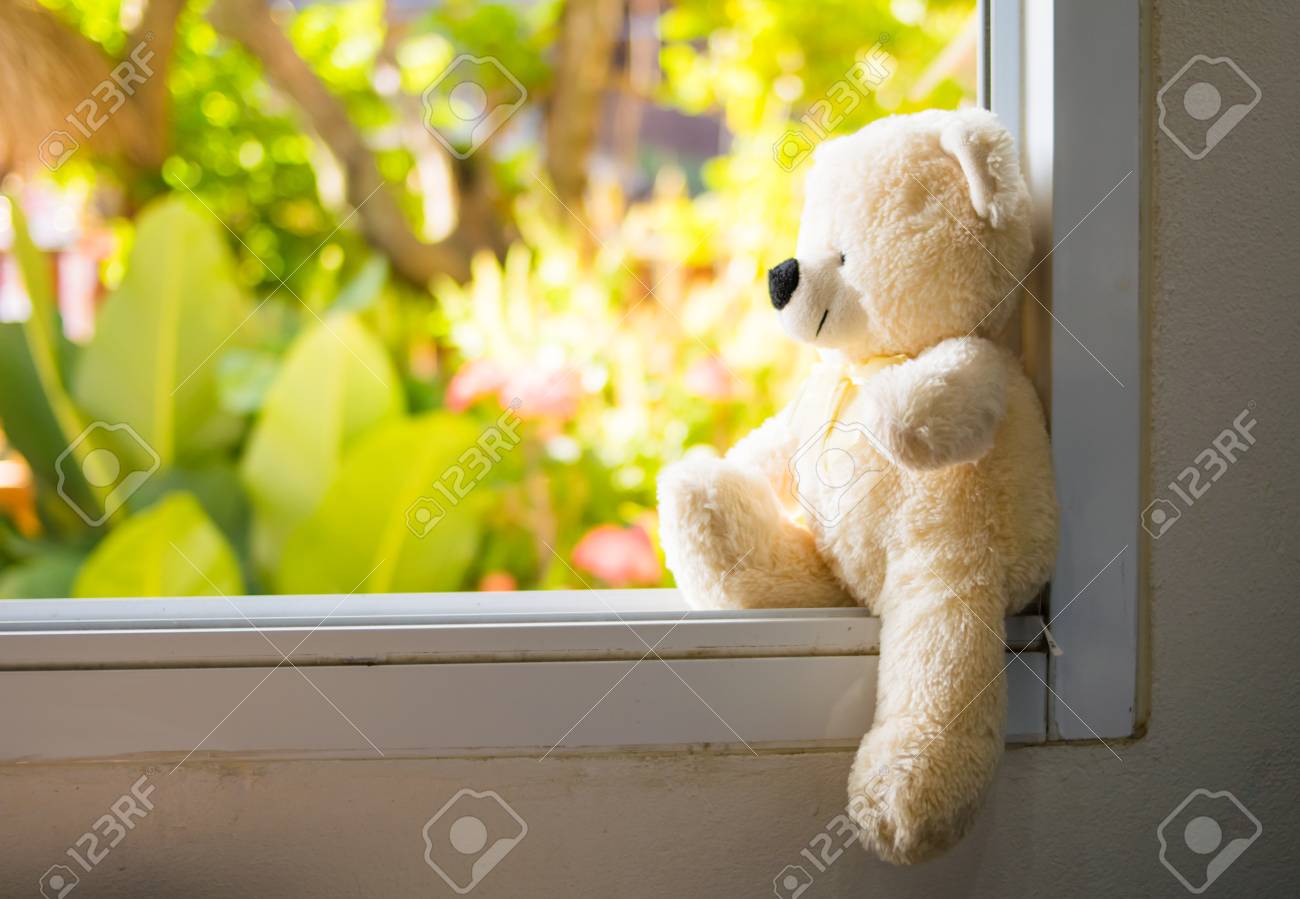 mice in house with dog