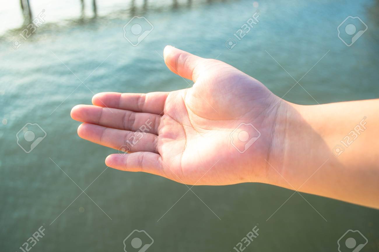 etiam-dictum-ipsum-a-felis