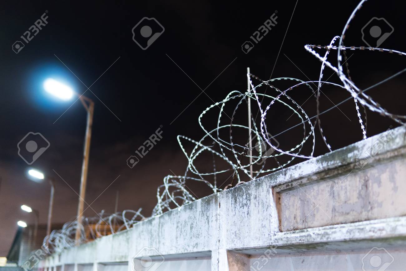 etiam-dictum-ipsum-a-felis