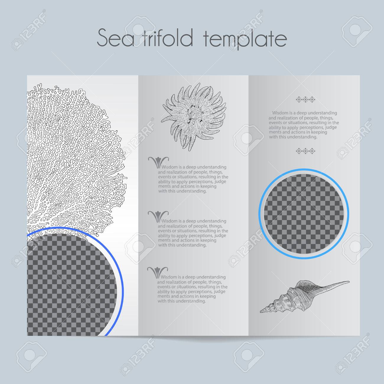 sea template tri fold mock up for brochure menu wedding trifold card templates