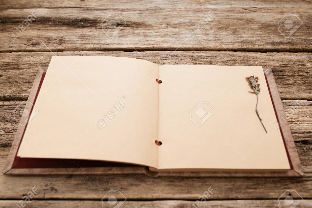 blank vintage scrapbook with herbarium mockup empty album with blank photo album page