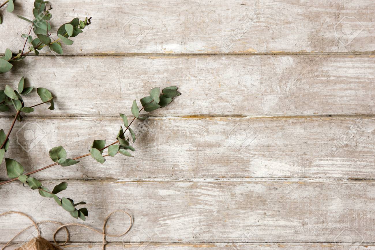 laurel branch on wood