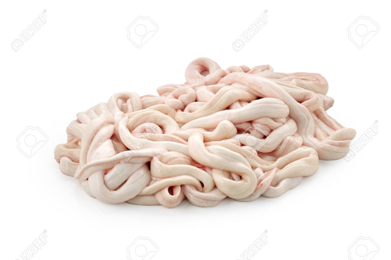 Raw Pig Intestine On White Background Stock Photo Picture And Royalty Free Image Image 105686458