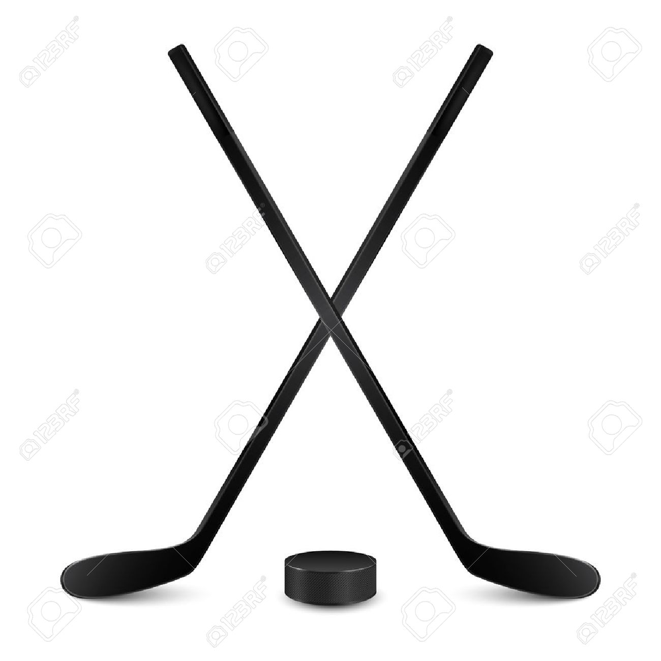 puck stick