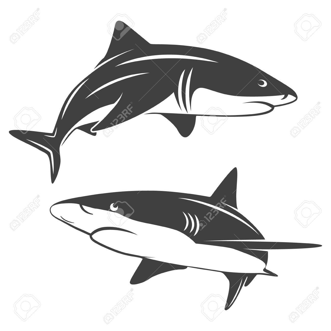 白で隔離様式化された 2 つのサメの白黒イラストです のイラスト素材 ベクタ Image