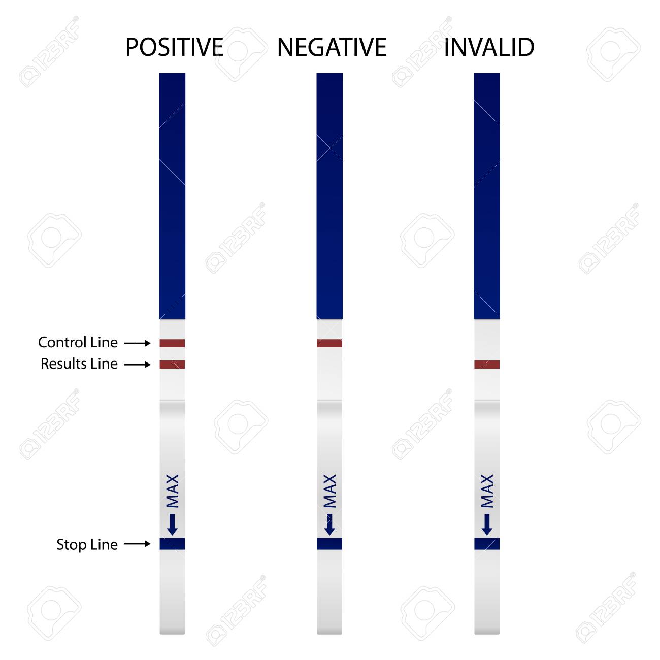 Prueba Evatest Positivo Y Negativo Falso Positivo Como Se Hace El