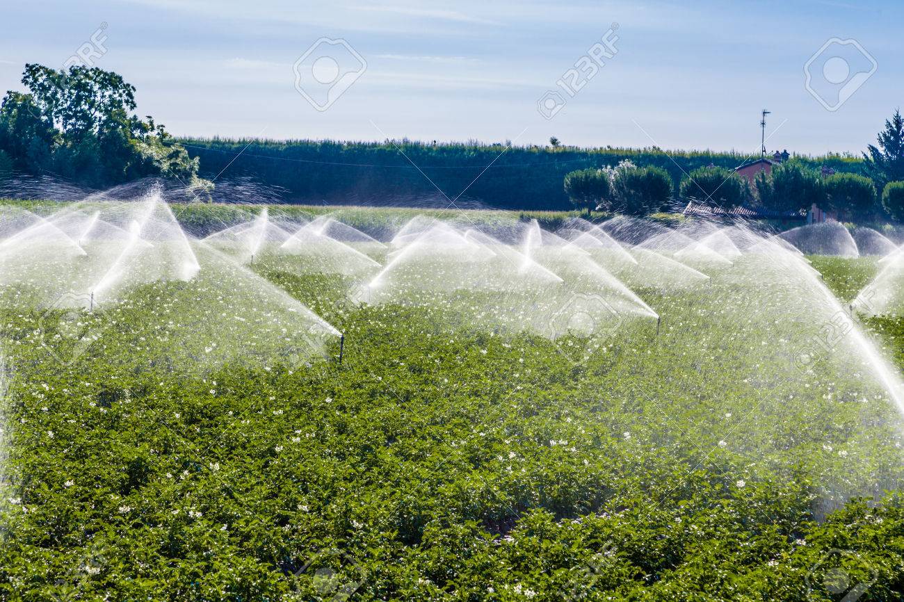 modern agriculture