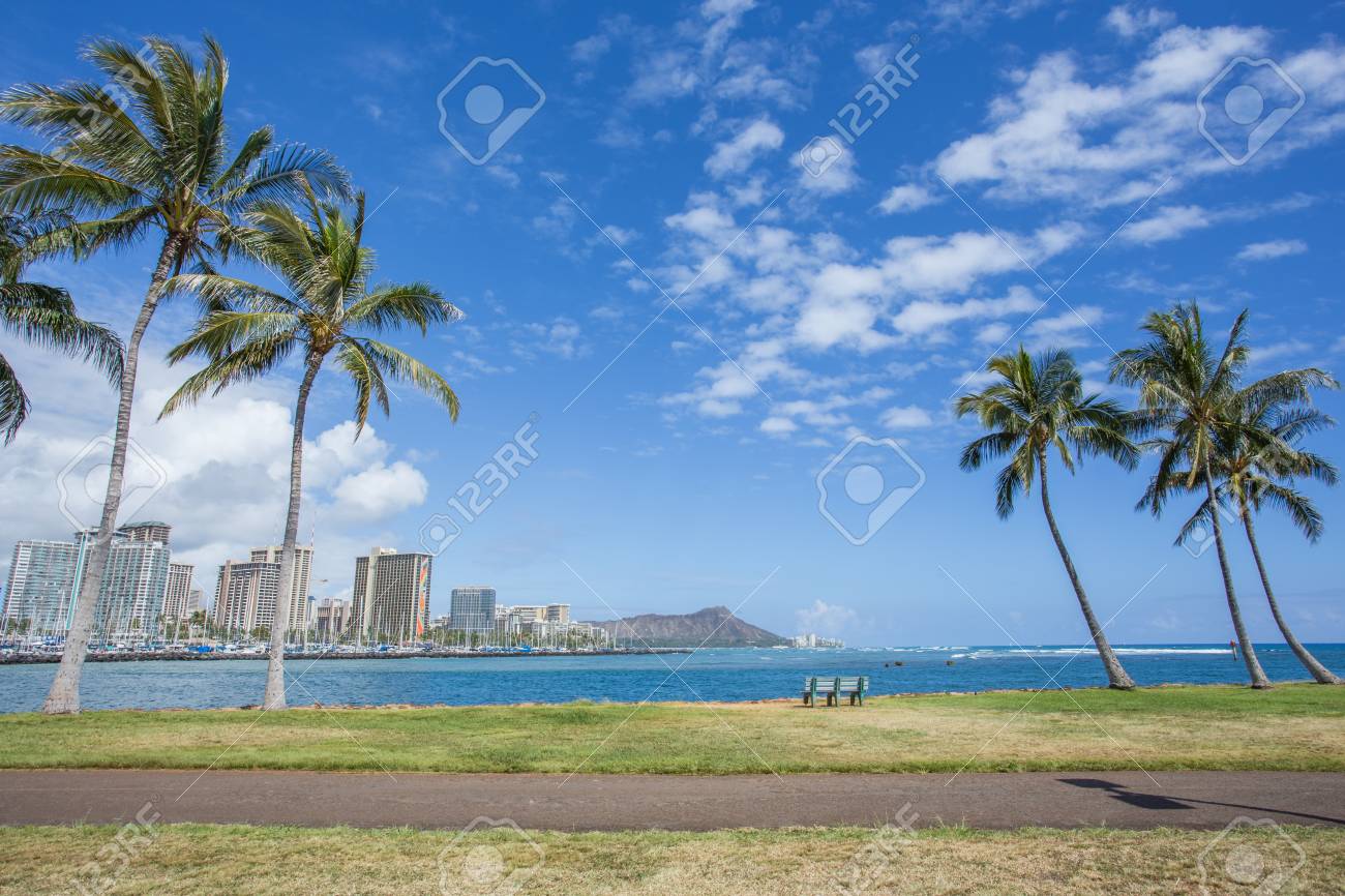 ハワイ ダイヤモンド ヘッド山背景とヤシの木 の写真素材 画像素材 Image 40402863