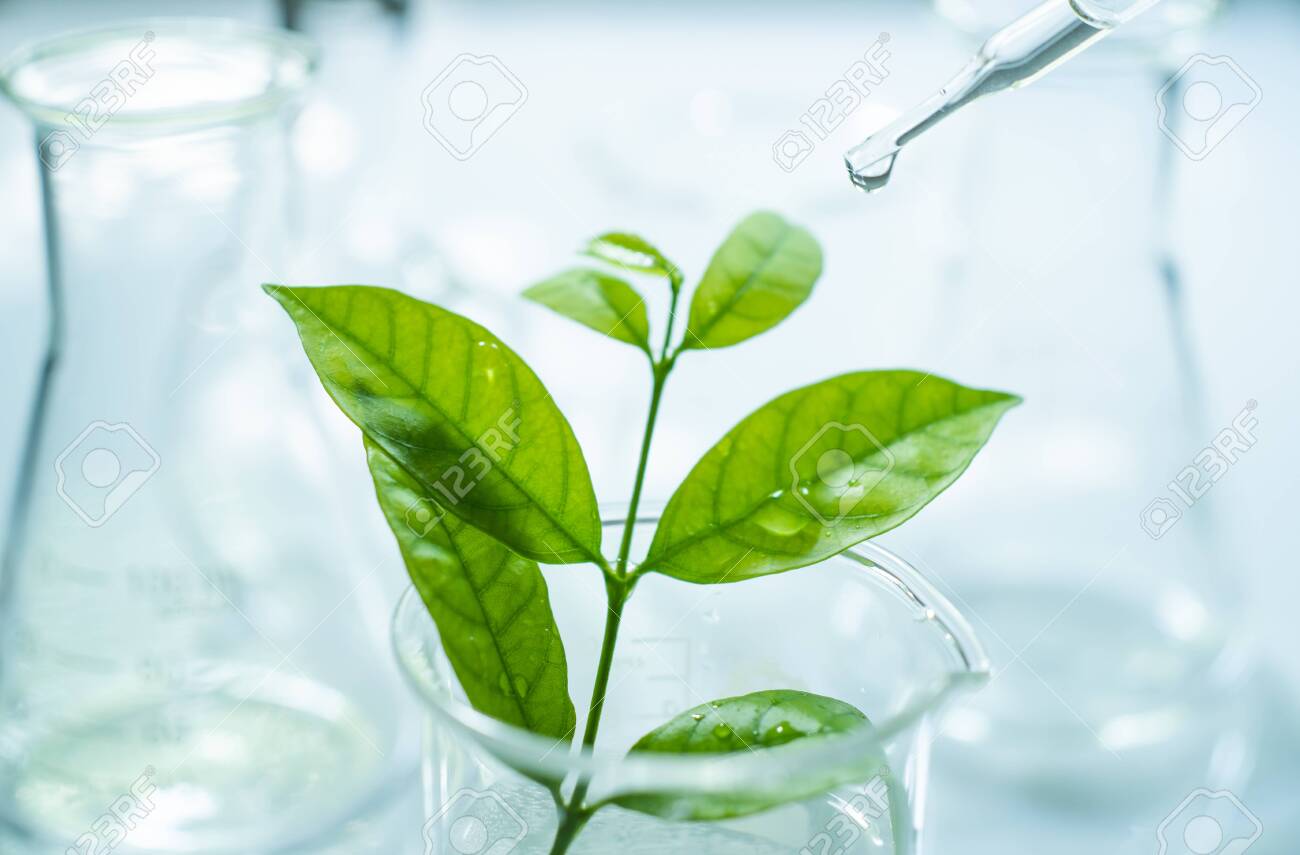 Researcher is dropping the reagent into test bigger. Biotechnology concept with scientist in lab - 130930701 Researcher is dropping the reagent into test bigger. Biotechnology concept with scientist in lab - 130930701