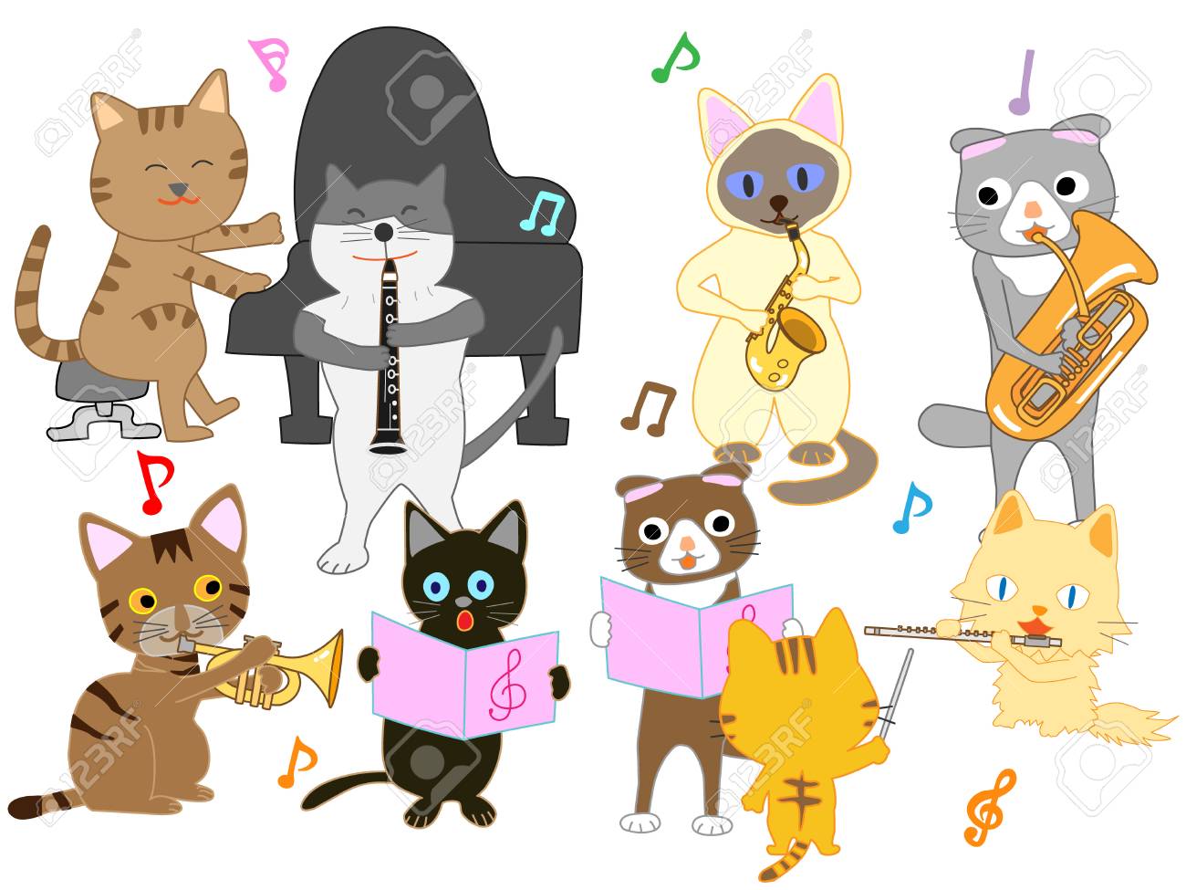 贈答品 クリップ キャットandオーケストラ Www Anavara Com