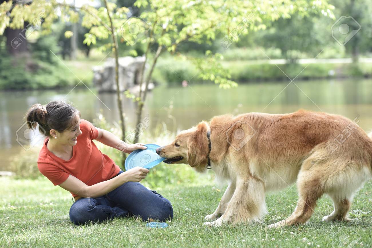 playing frisbee with dog
