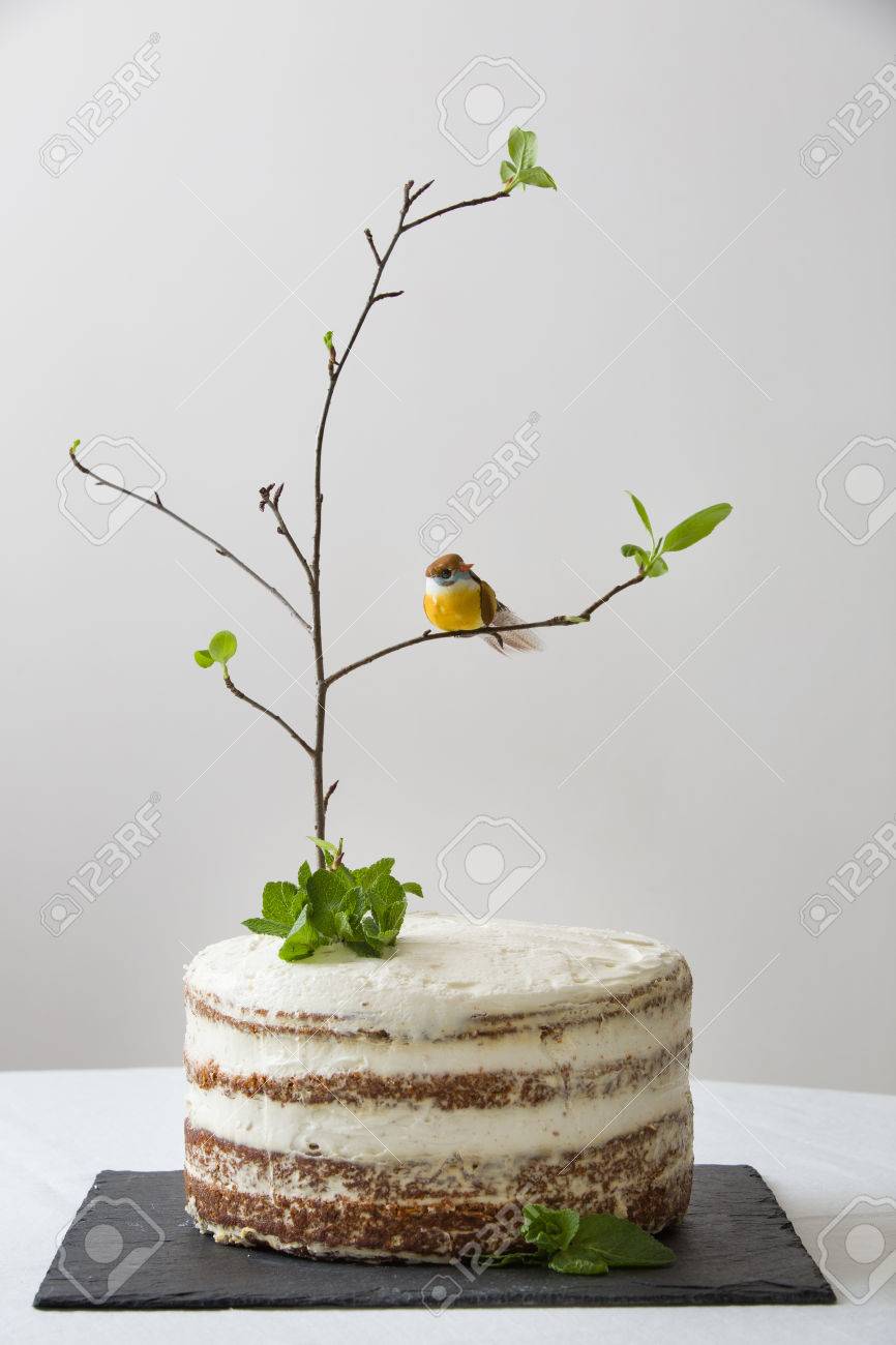 Delicieux Gateau D Anniversaire Avec Une Branche D Arbre Des Oiseaux Des Bougies Et Le Numero 2 Comme Decoration Belle Blanc Gateau Aux Carottes Sur Le Tableau Noir Pour La Deuxieme Fete D Anniversaire A
