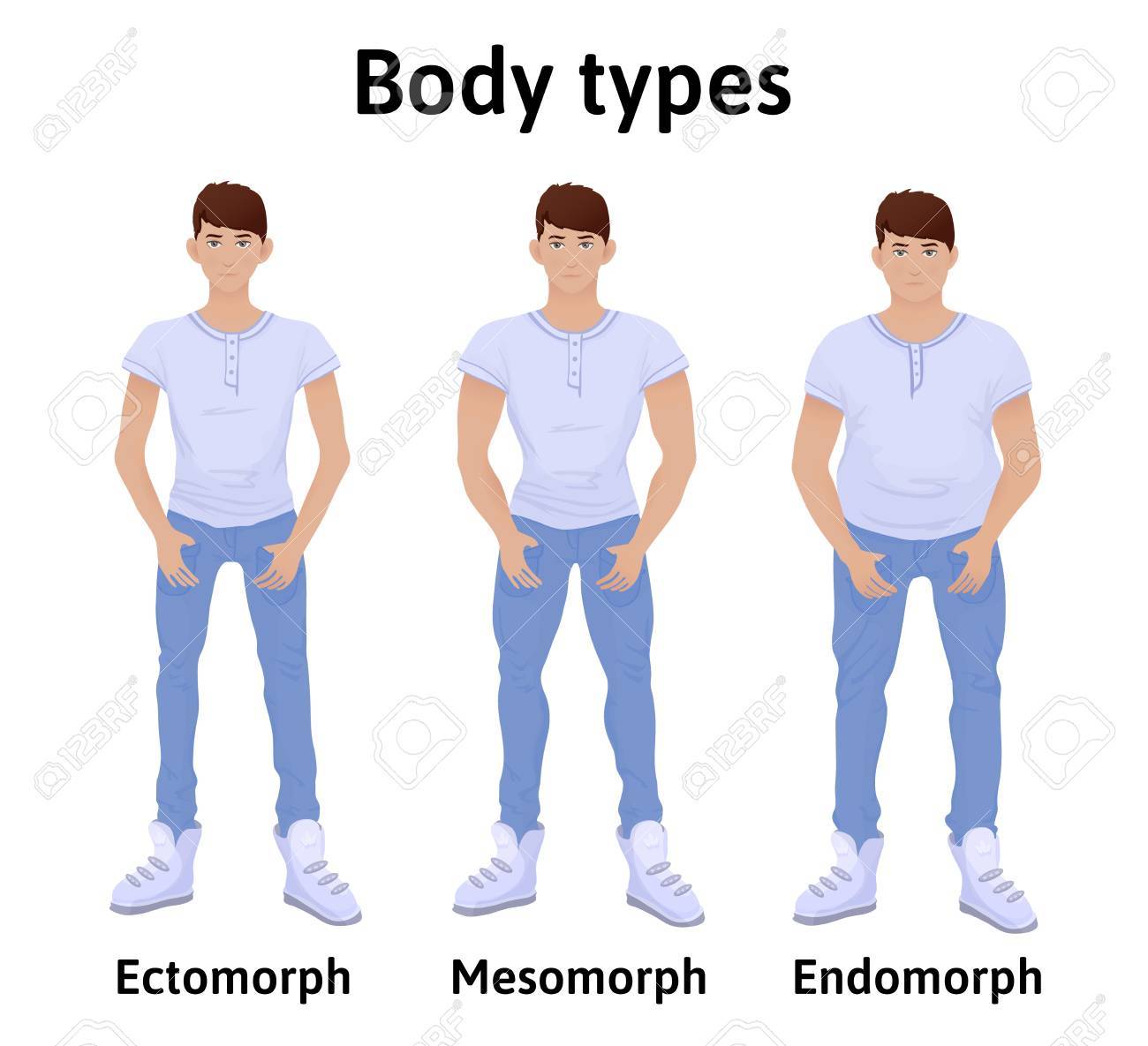 constitution of human body man body types endomorph ectomorph men body types