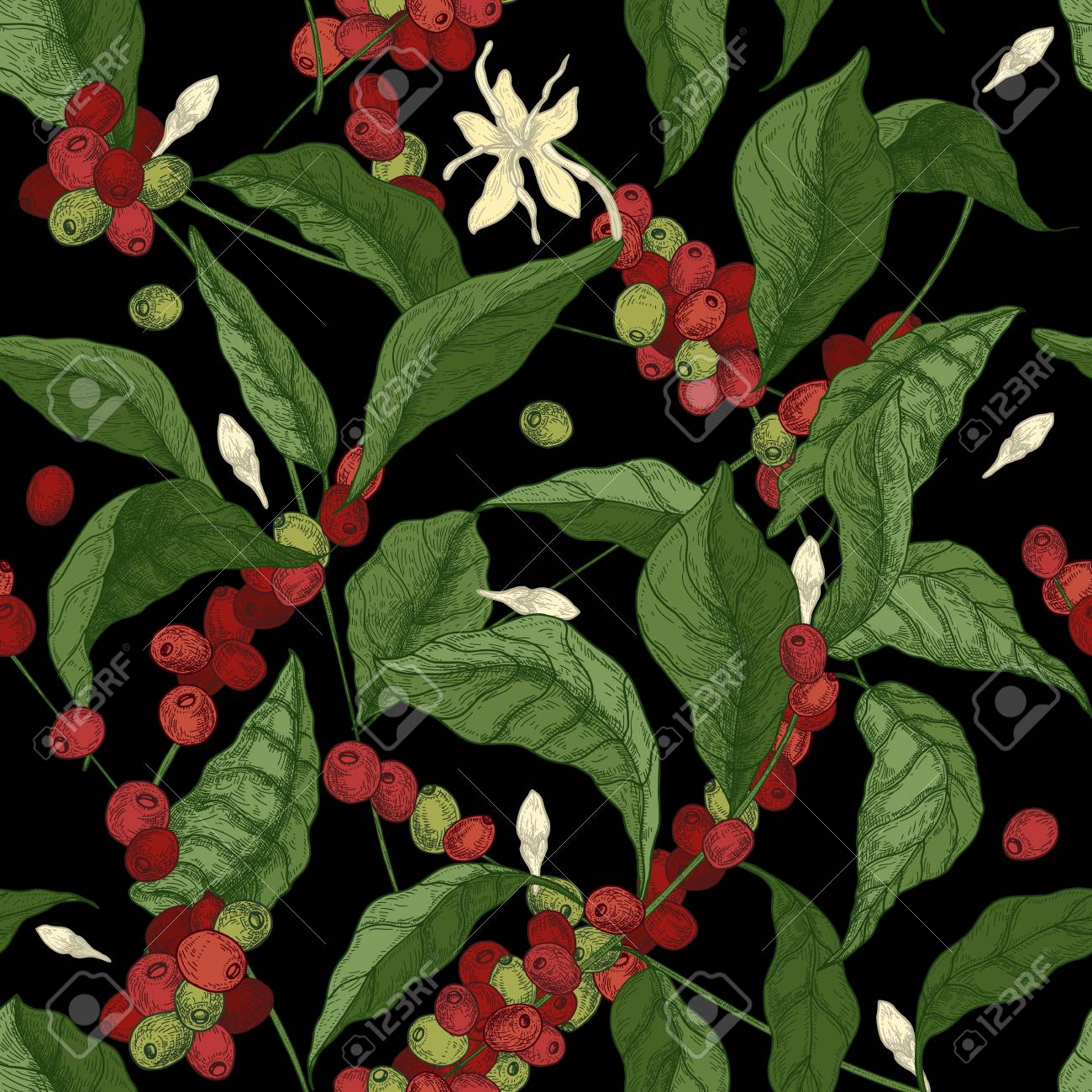 Beautiful Seamless Pattern With Coffea Or Coffee Tree Branches Royalty Free Cliparts Vectors And Stock Illustration Image Beautiful Seamless Pattern With Coffea Or Coffee Tree Branches Royalty Free Cliparts Vectors And Stock Illustration Image