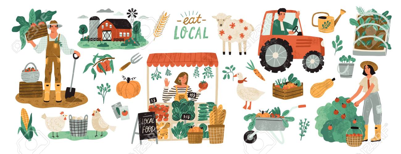 Local organic production set. Agricultural workers planting and gathering crops, working on tractor, farmer selling fruits and vegetables, farm animals, farmhouse. Flat cartoon vector illustration - 128183264 Local organic production set. Agricultural workers planting and gathering crops, working on tractor, farmer selling fruits and vegetables, farm animals, farmhouse. Flat cartoon vector illustration - 128183264