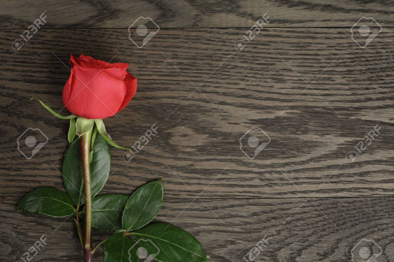 Romantic background with red rose on wood table - 36508359 Romantic background with red rose on wood table - 36508359