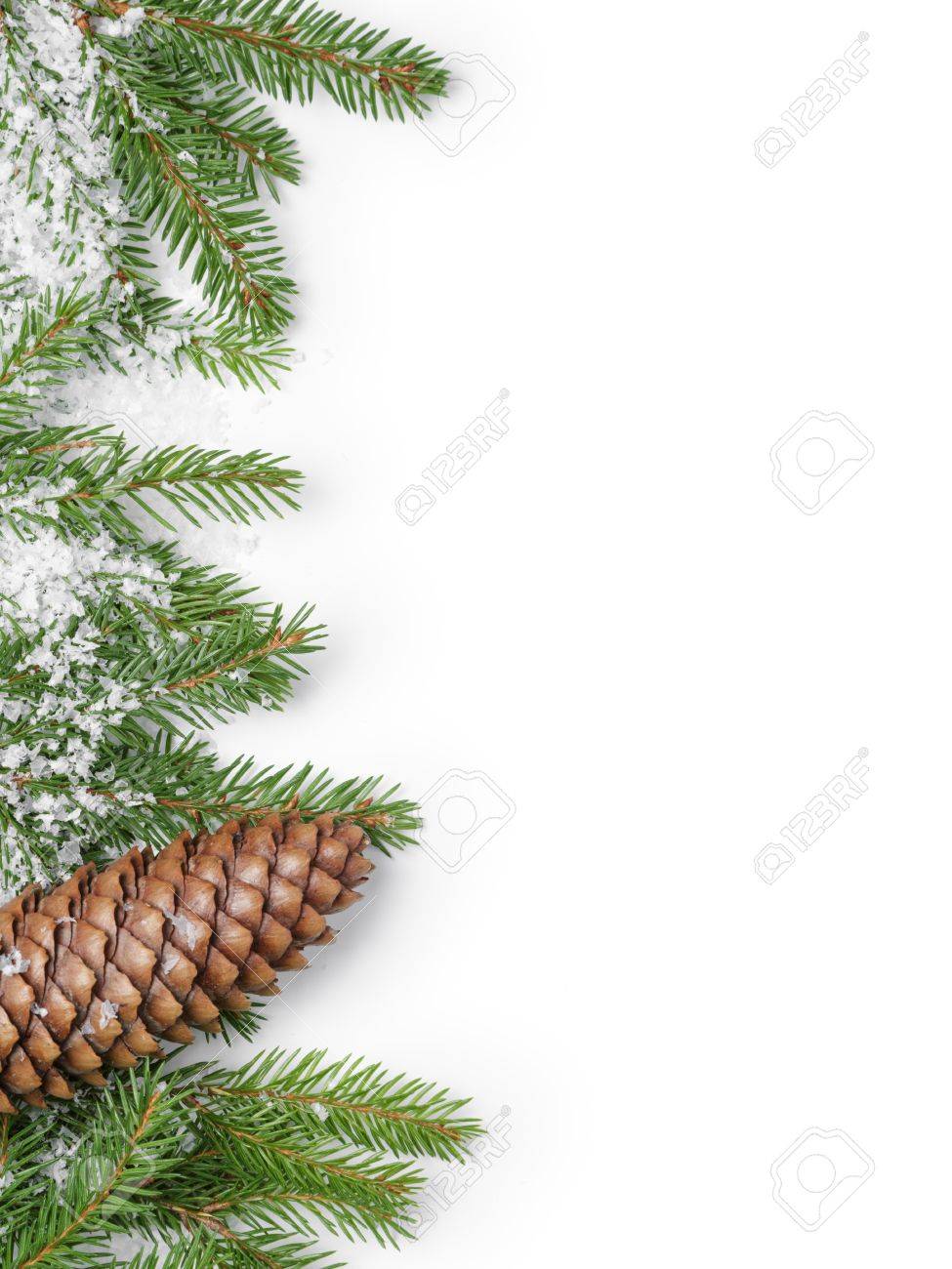 fir branches border on white background, good for christmas backdrop - 48268147 fir branches border on white background, good for christmas backdrop - 48268147