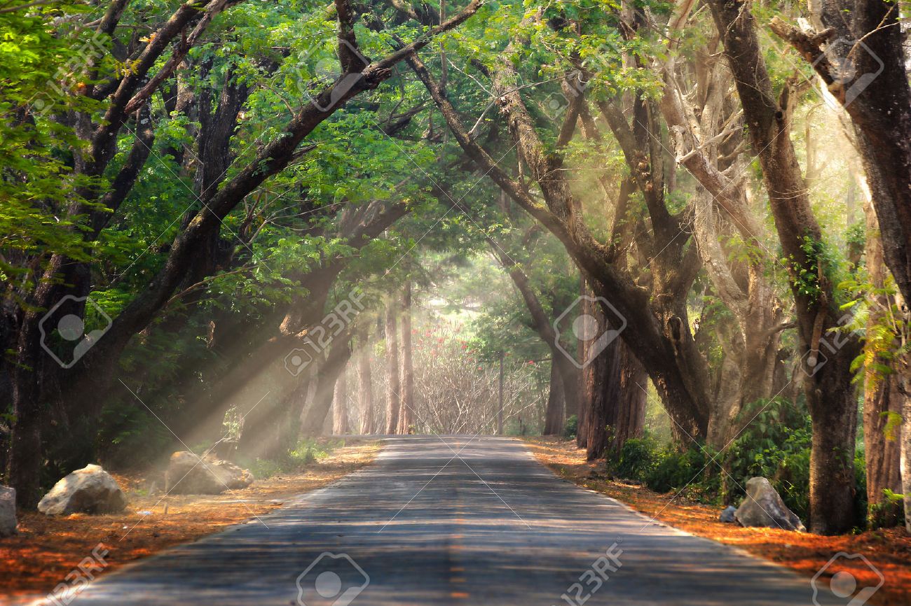 nature background stock photos royalty free nature background images background photo nature