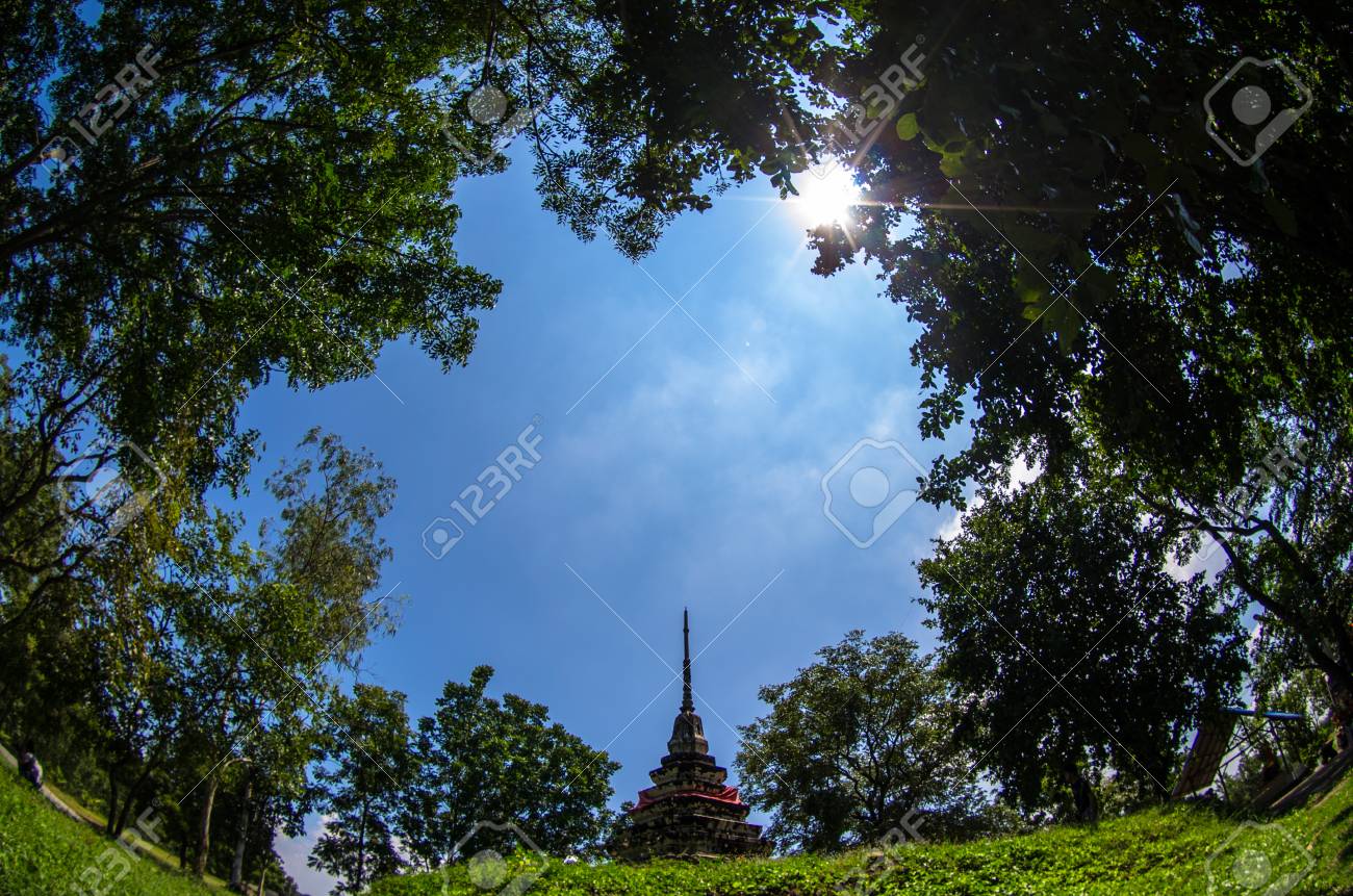 etiam-dictum-ipsum-a-felis