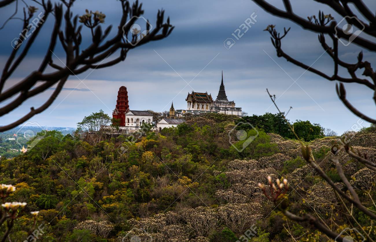 etiam-dictum-ipsum-a-felis