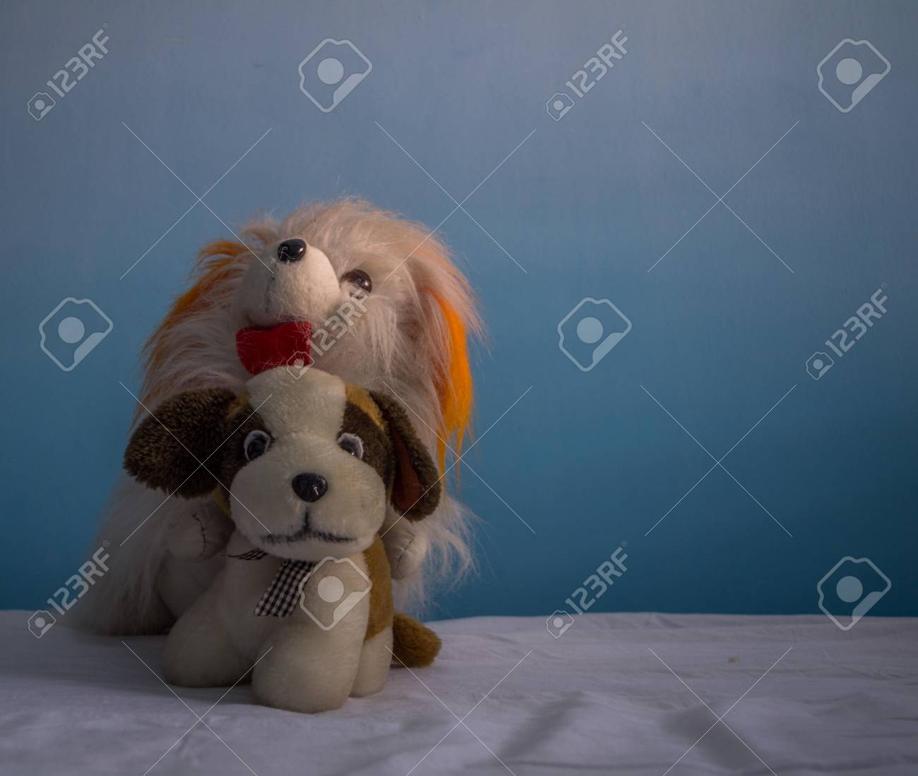 etiam-dictum-ipsum-a-felis