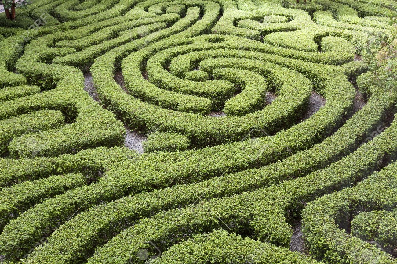 Terbesar Di Malaysia Maze Park Di Perak Ini Bakal Jadi Tumpuan Terbaru Pelancong