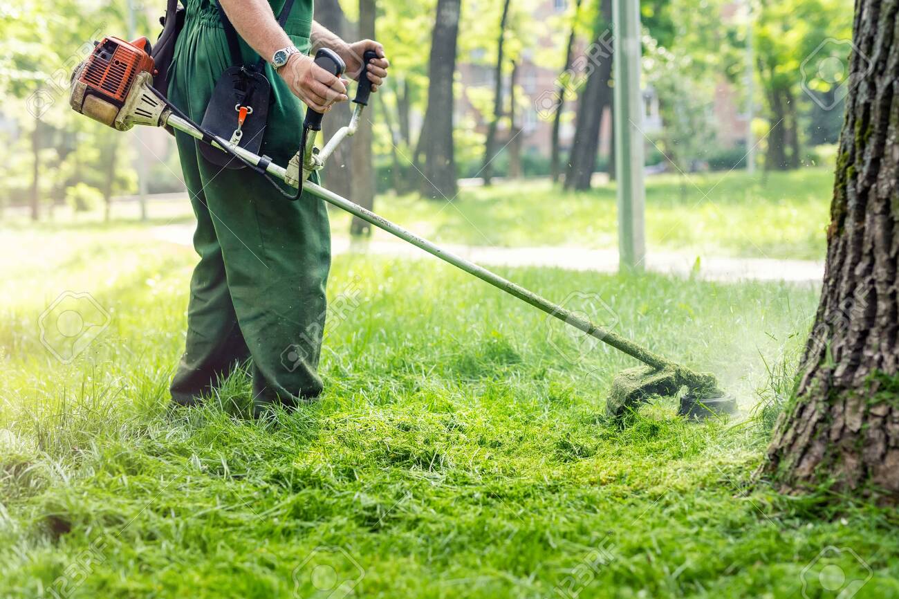 electric hand grass trimmer