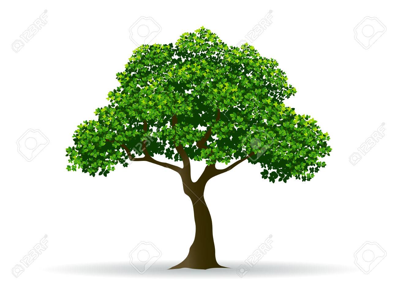 tree and leaf tree branch realistic tree tree vector royalty free