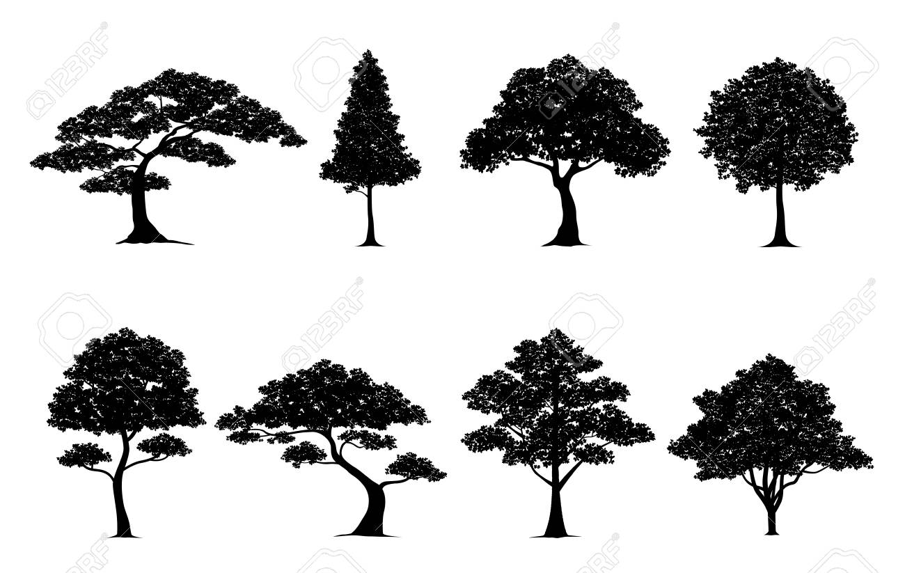 silhouette tree vector trees in silhouettes set royalty free