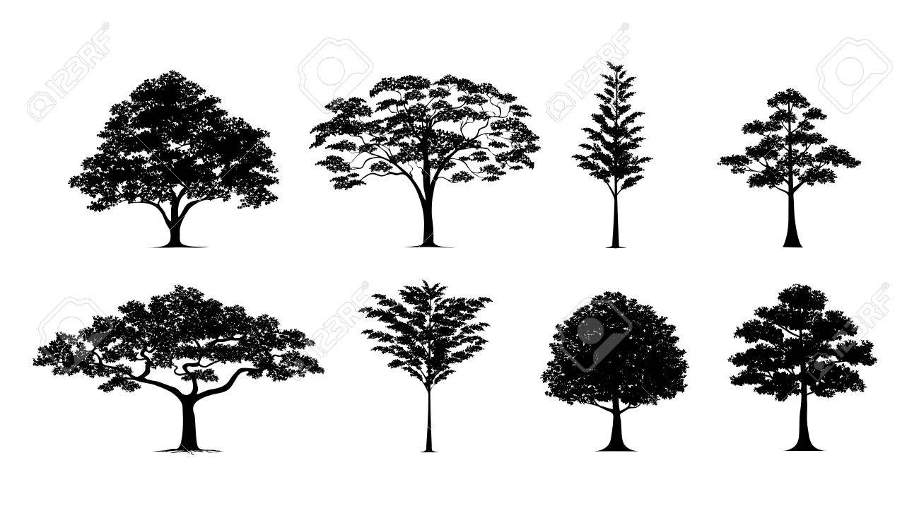 silhouette tree vector trees in silhouettes set royalty free