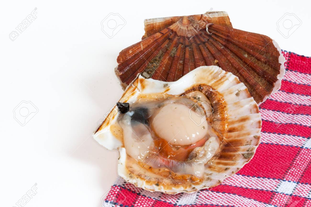 Coquille Saint Jacques Ouvert Sur Fond A Carreaux Rouge Et Blanc
