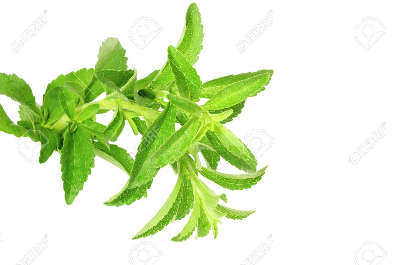 sustitutos de azucar con stevia y diabetes