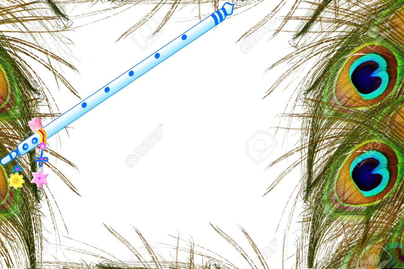 peacock feather and flute over white background with text copy