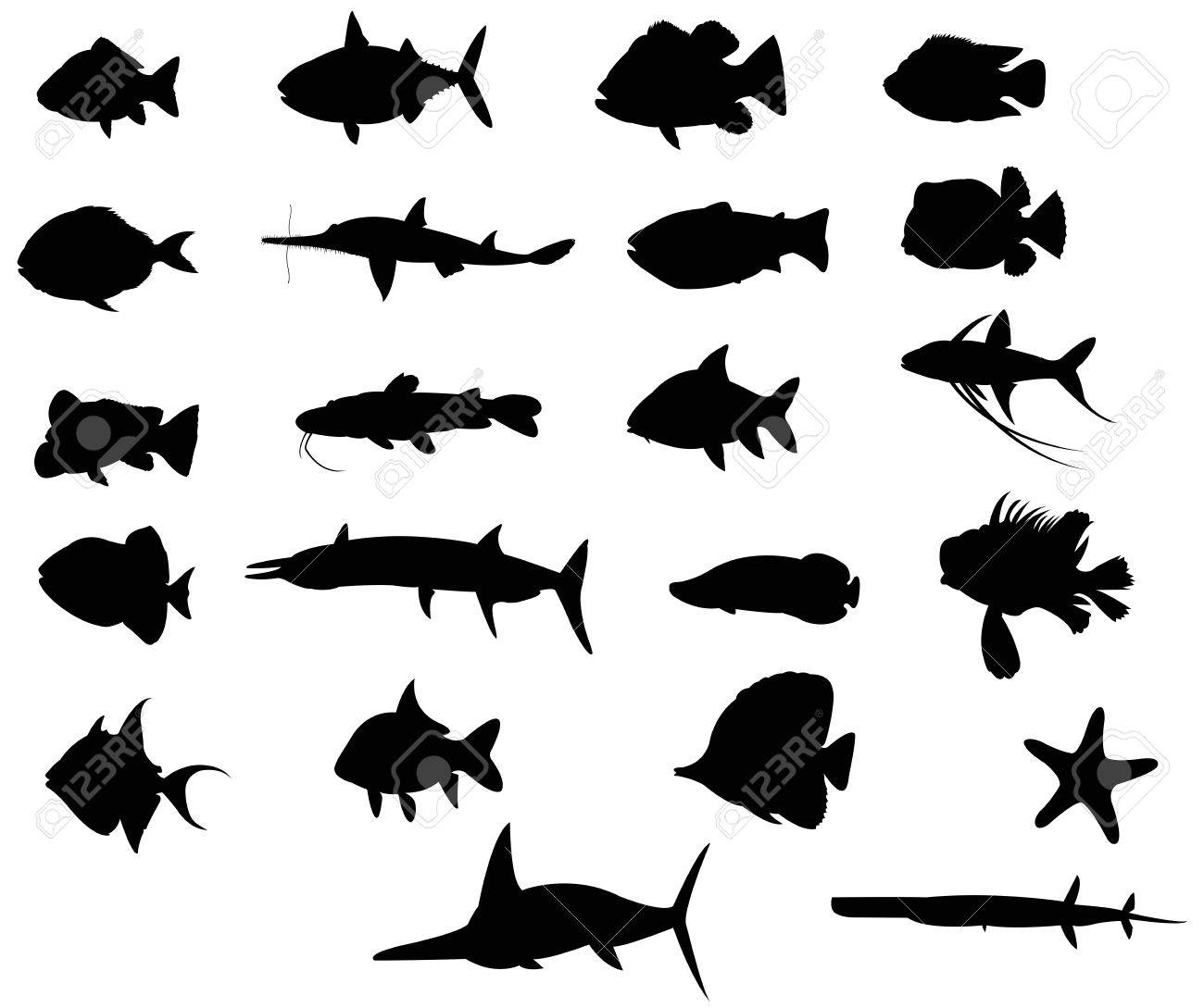 Sets Of Silhouette Fishes 4 With Both Freah Water And Sea Create By Vector Royalty Free Svg Cliparts Vectors And Stock Illustration Image