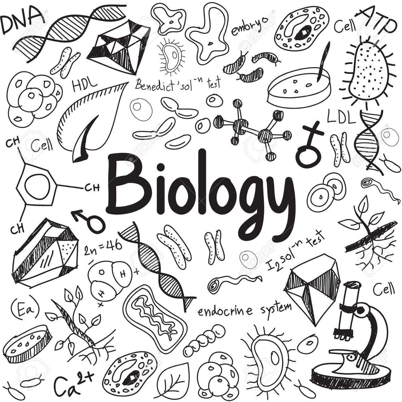 biology science theory doodle handwriting and tool model icon