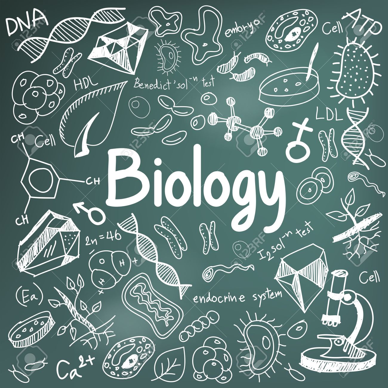 biology science theory doodle handwriting and tool model icon