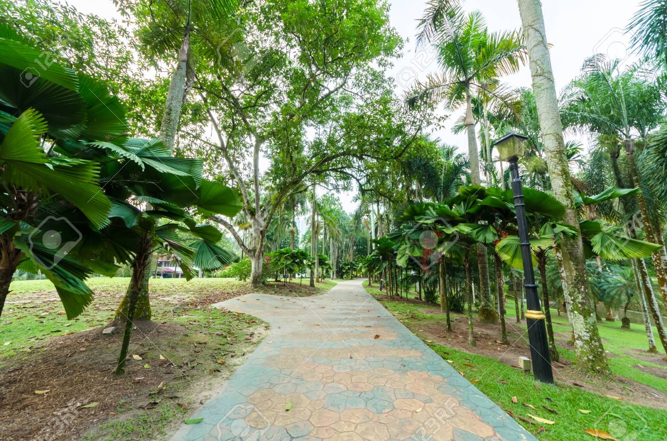Lake Gardens also known as Kuala Lumpur Perdana Botanical Gardens, it is KL's first large-scale recreational park. - 107566505 Lake Gardens also known as Kuala Lumpur Perdana Botanical Gardens, it is KL's first large-scale recreational park. - 107566505