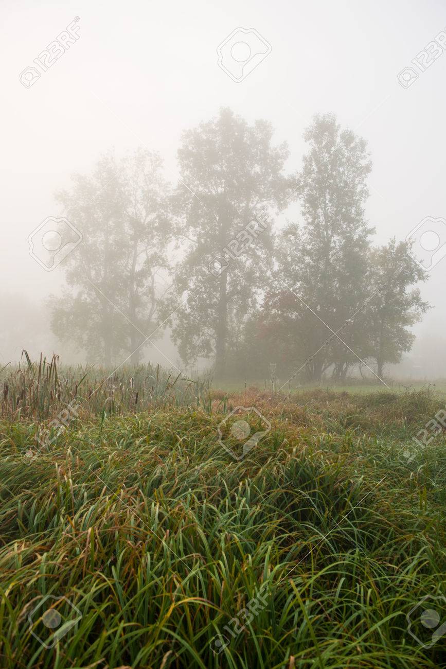 landscape with autumn trees in the morning mist in the village stock
