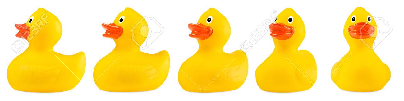 classic rubber duck