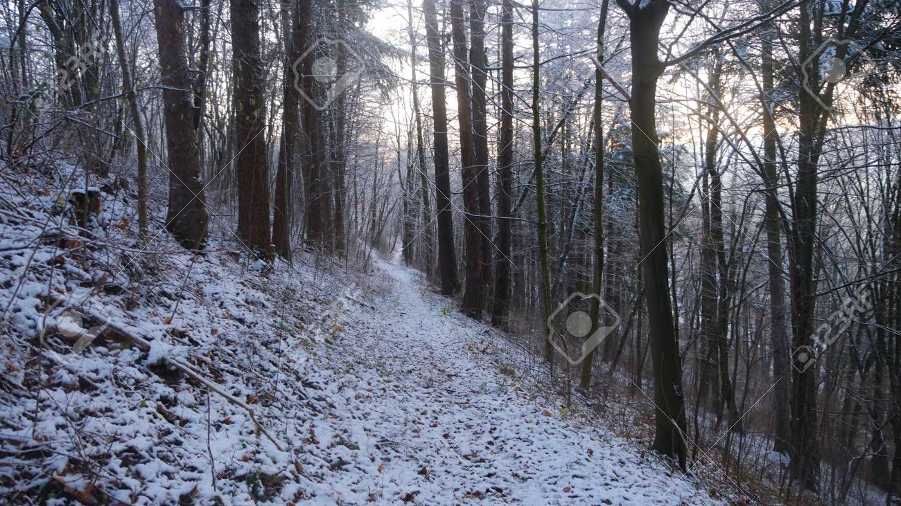 ポーランドとチェコの国境の森林の山岳地帯の冬 冷ややかな気候 降雪と美しい日当たりの良い空は 散歩や小旅行を取り 来るクリスマスの雰囲気を発表することを奨励します の写真素材 画像素材 Image ポーランドとチェコの国境の森林の山岳地帯の冬 冷ややかな気候 降雪と美しい日当たりの良い空は 散歩や小旅行を取り 来るクリスマスの雰囲気を発表することを奨励します の写真素材 画像素材 Image