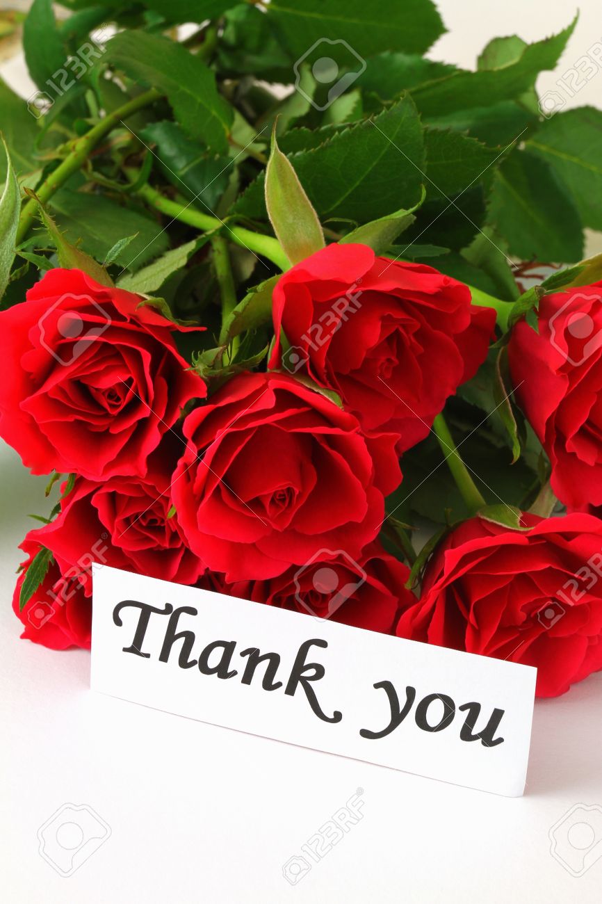 Thank You Note And Red Roses Stock Photo Picture And Royalty Free Image Image 19404475