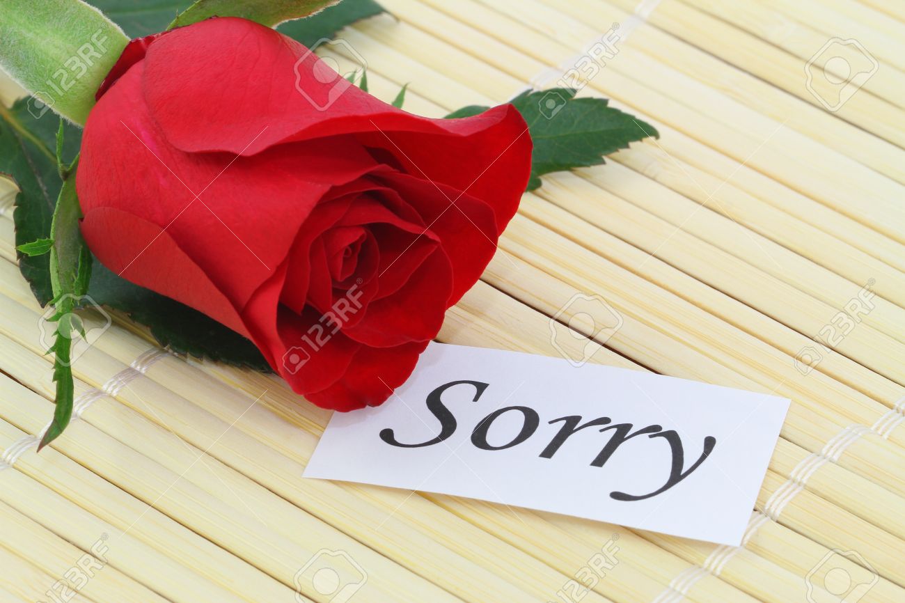 Sorry Note With Red Rose Stock Photo, Picture And Royalty Free ...