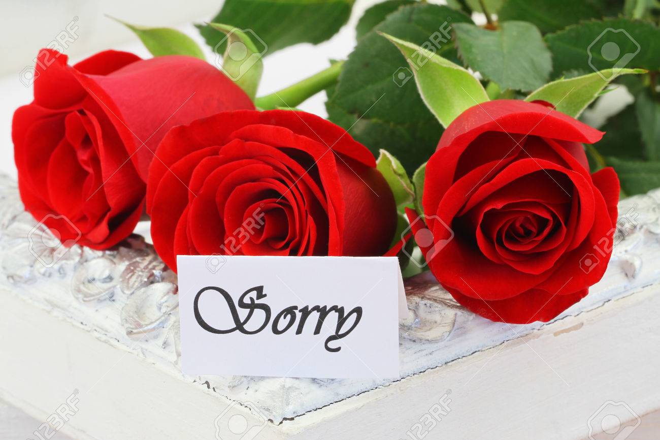 Sorry Card With Red Roses Stock Photo Picture And Royalty Free
