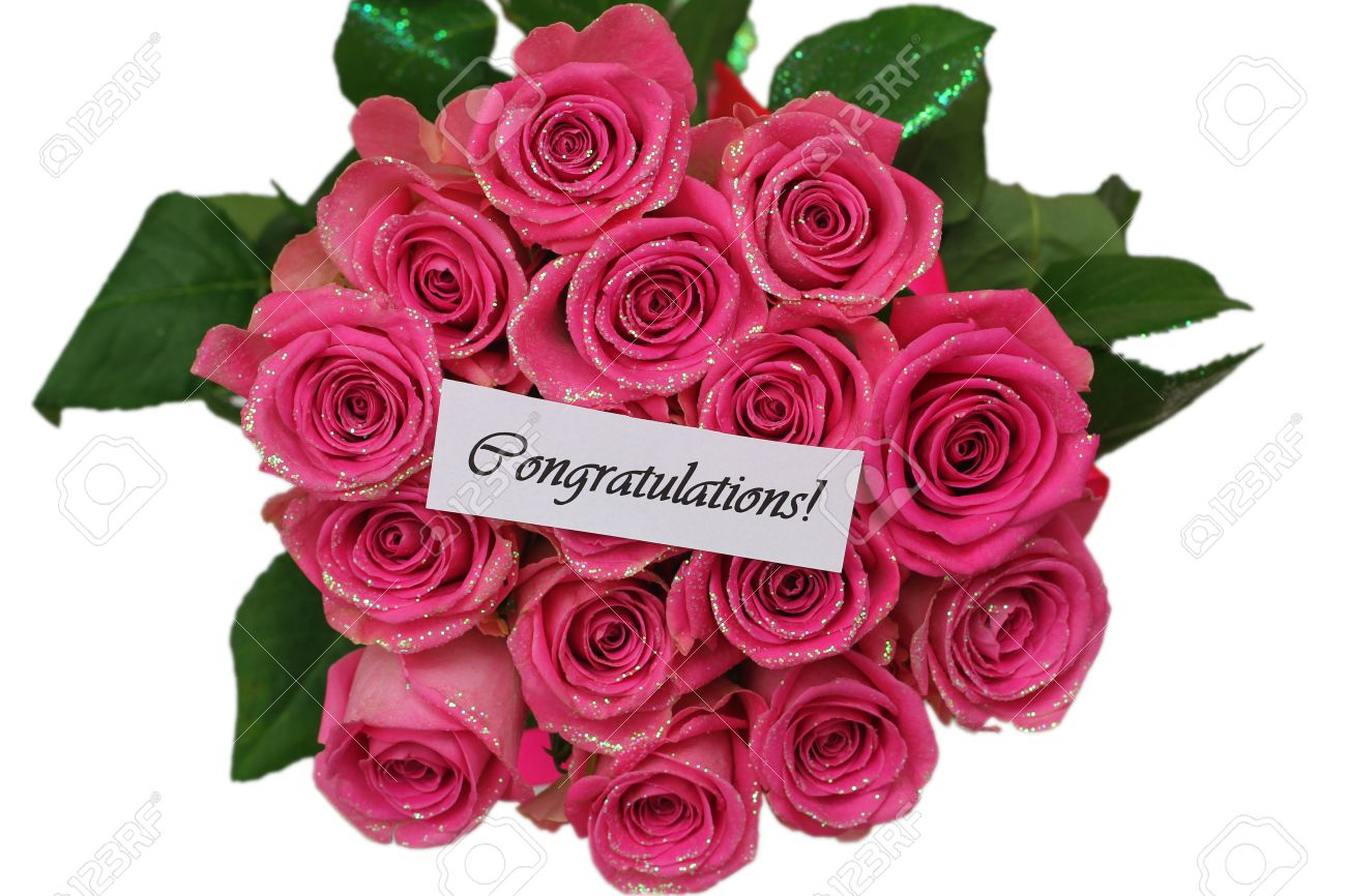 Congratulations Card With Pink Roses Isolated On White Stock Photo, Picture And Royalty Free Image. Image 27233184.