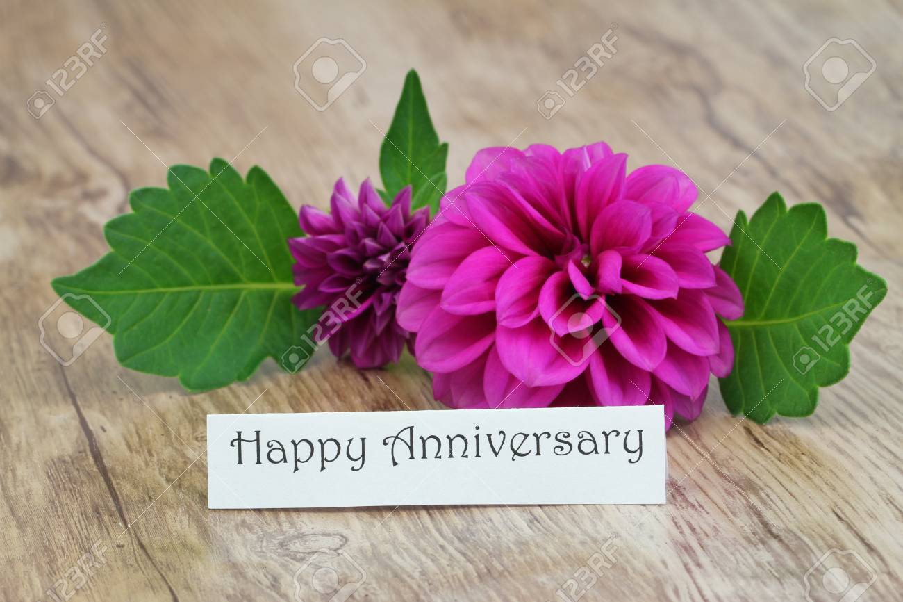 happy anniversary purple