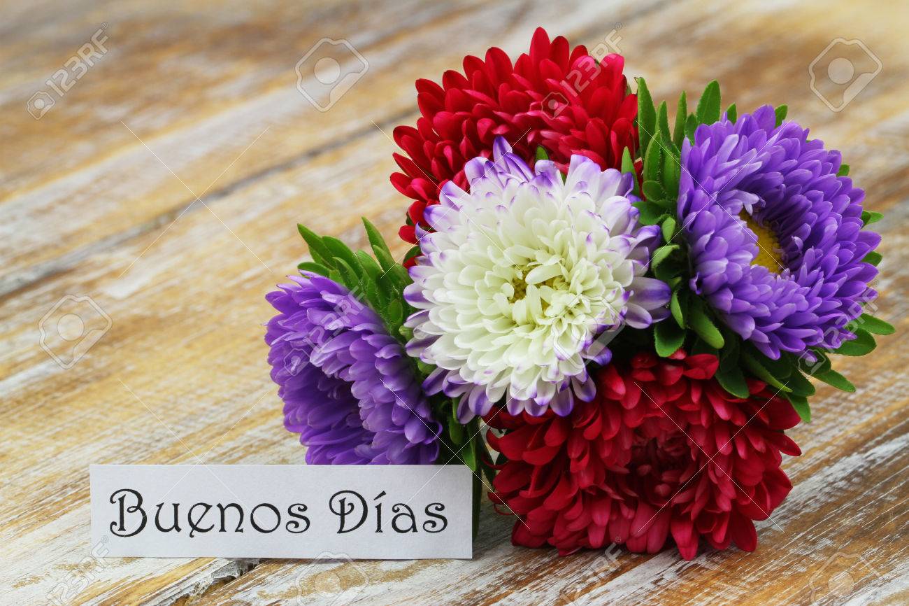 Buenos Dias, Good Morning In Spanish, With Colorful Aster Flower ...
