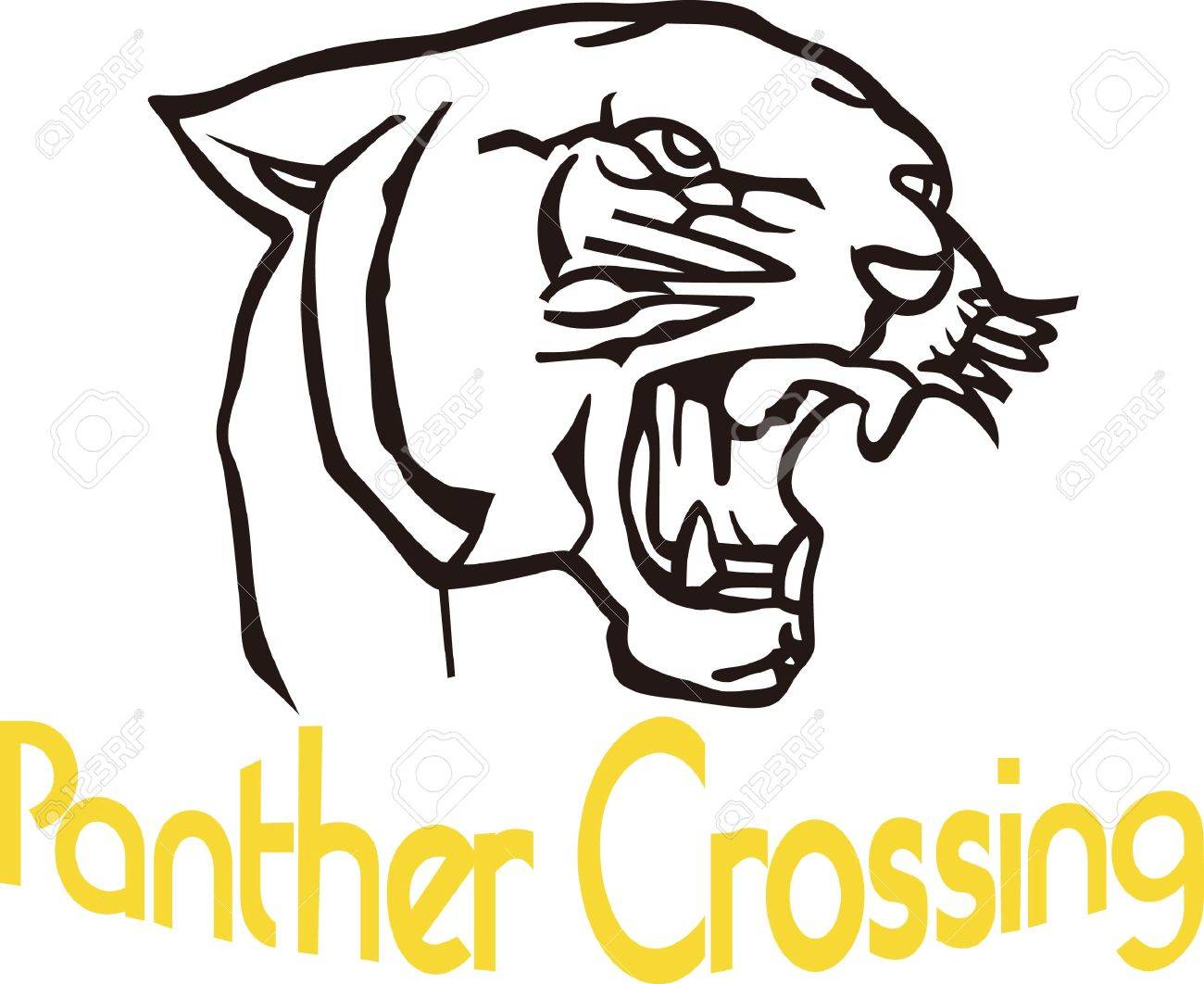 Lets Go Cougars Lets Go Cougars