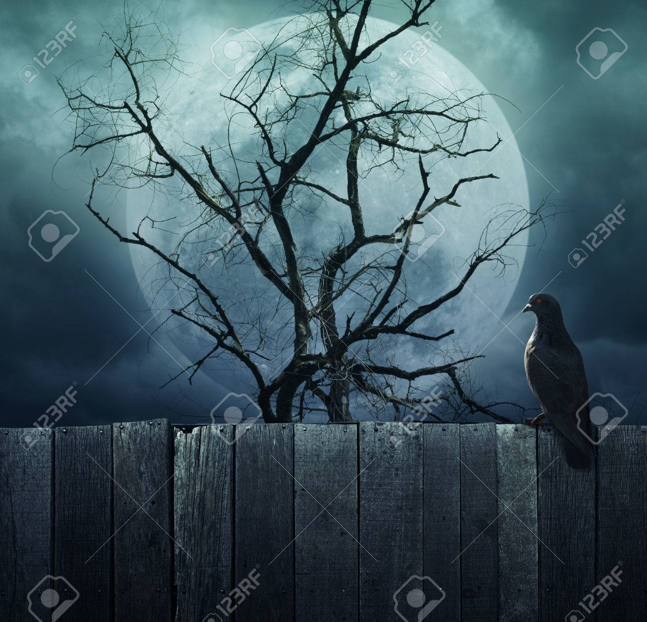 bird stand on wood fence on spooky tree with moon background