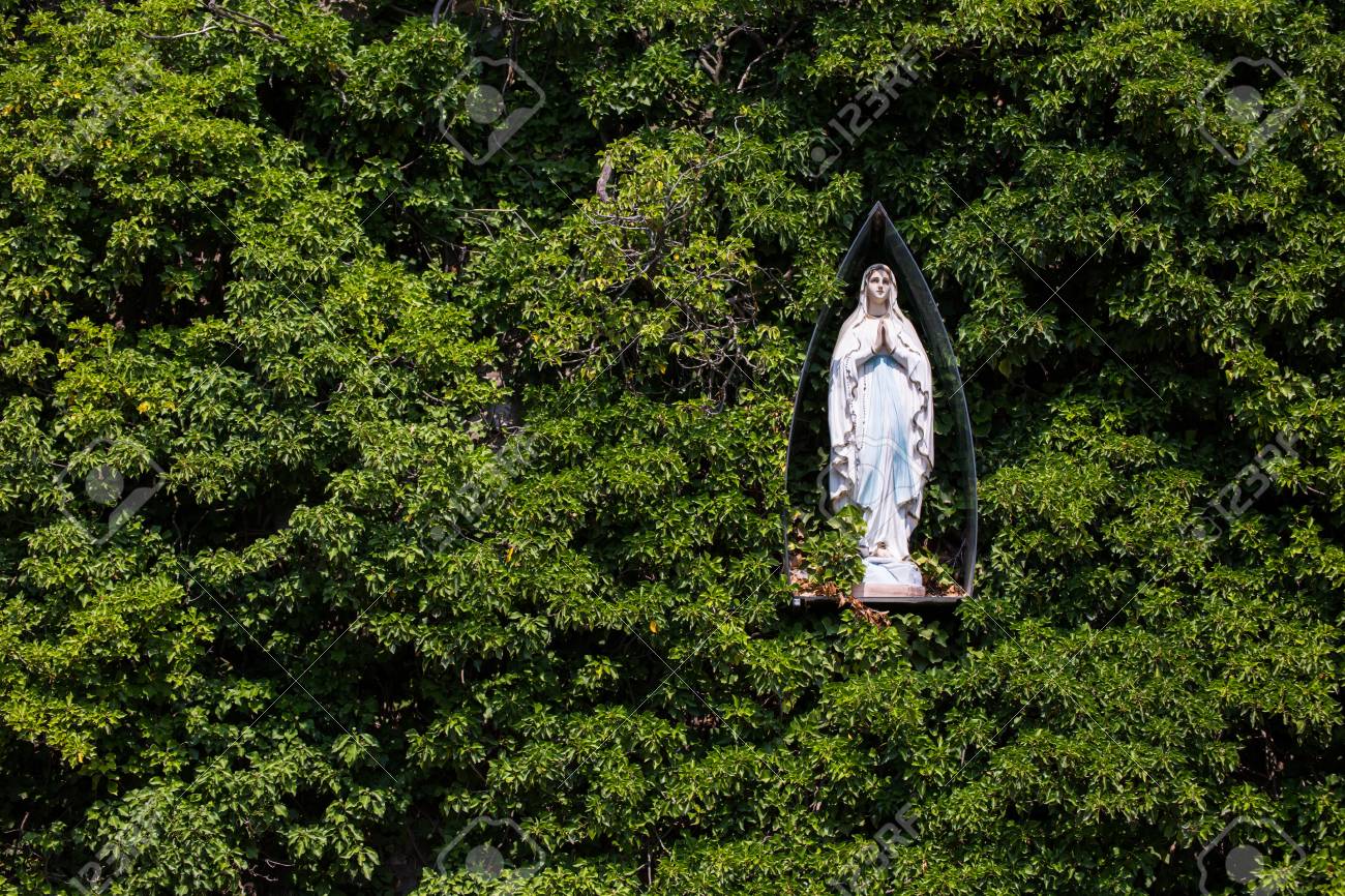 etiam-dictum-ipsum-a-felis