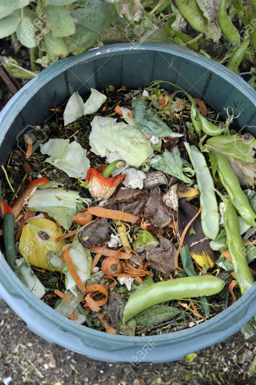 At Home Composting Bin